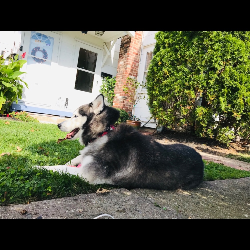 Meet your Posher, Ingrid